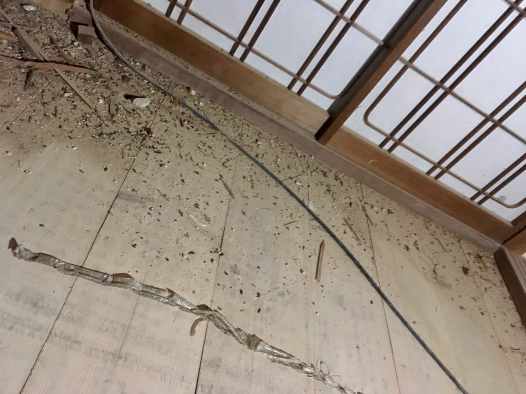 和室の吊束と吊り天井とをDIYで撤去したら蛇の抜け殻が出てきた
